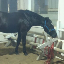Lincoln Equestrian Center