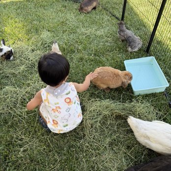 Lucky Jacks' Rescue Ranch - Petting Zoos Near Me