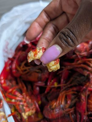 Atchafalaya Crawfish by null