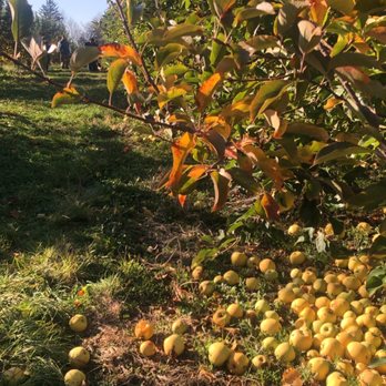 Apple Dave’s Orchards - Fruits & Veggies Near Me - Warwick, New York