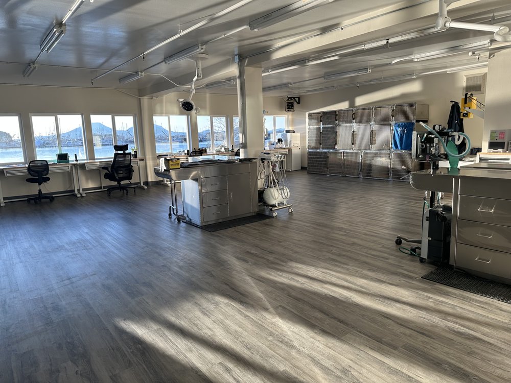 SITKA ANIMAL HOSPITAL Updated September 2024 805 Halibut Point Rd