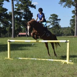 Sawyer Equestrian