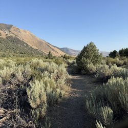 Dog friendly trail