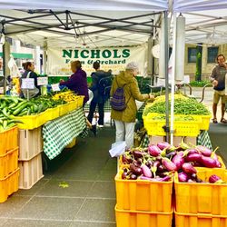 SOAR Farmers Market - Nichol's Farm & Orchard Stand-08/23