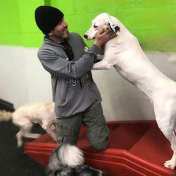 Dogtopia - Birmingham - Dog Daycare