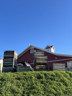 Spicer Orchards Farm Market, Cider Mill, Fudge, Bakery by null