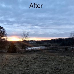 After White Oak Tree service After White Oak Tree service