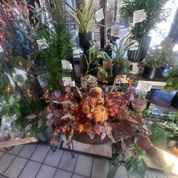 Prescott's Florist - Display