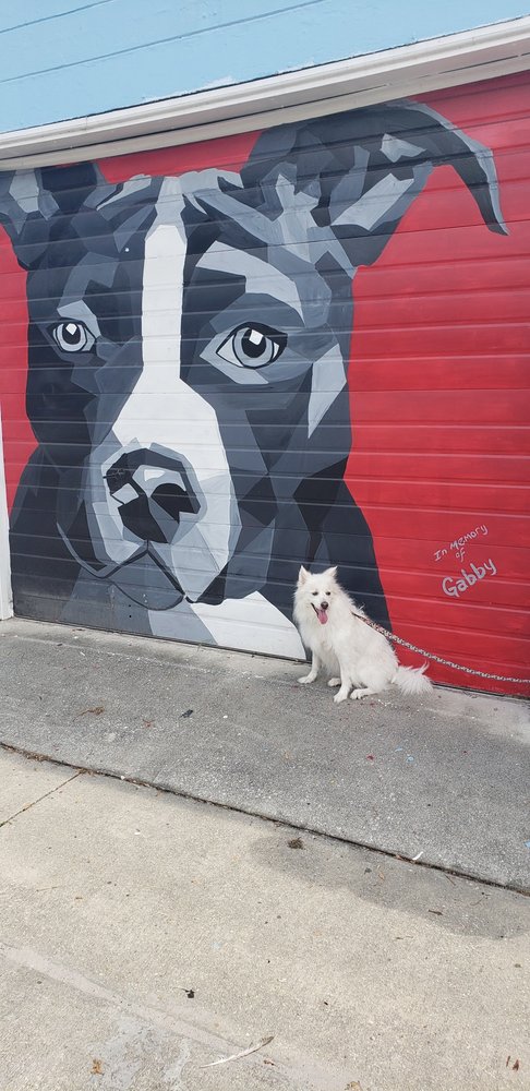 The Barking Lot Image