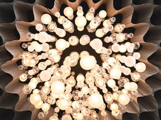 ZuZu Nashville by null