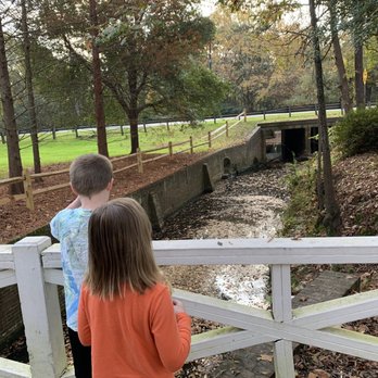 Azalea Park - Parks Near Me - Summerville, South Carolina
