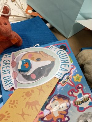 Marin Humane by null