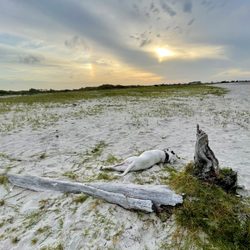 Cedar Island RV Park - Sunset on the right side beach...