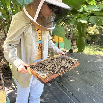 Hanai Hives - Attraction Farms Near Me - Haleiwa, Hawaii Hanai Hives - Attraction Farms Near Me - Haleiwa, Hawaii