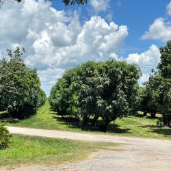 Farm Erickson