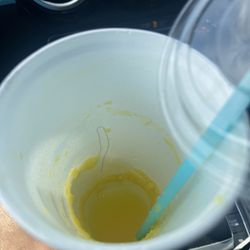 My Mango Smoothie had hair in the bottom on the cup. I'm so disgusted & sick to my stomach!