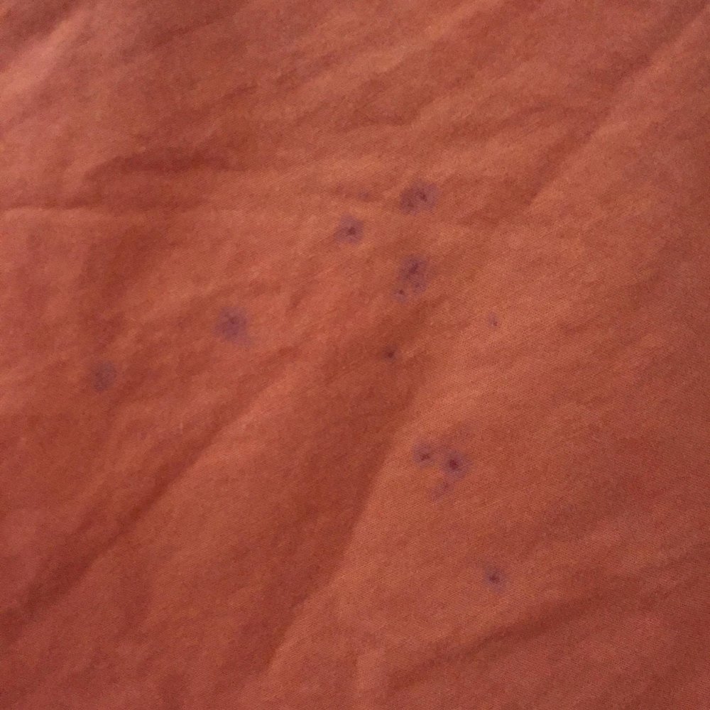 ACRE LAUNDROMAT Updated October 2024 16 Reviews 63 Fletcher St