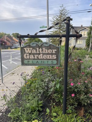 The Peggy, Walther Gardens Century Snowballs & Treats by null