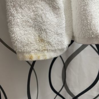 Hollander Hotel - Dirty towel! - Hotels Near Me - St. Petersburg, Florida Hollander Hotel - Dirty towel! - Hotels Near Me - St. Petersburg, Florida