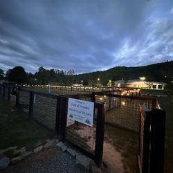 Pisgah Forest RV Park - Dog area