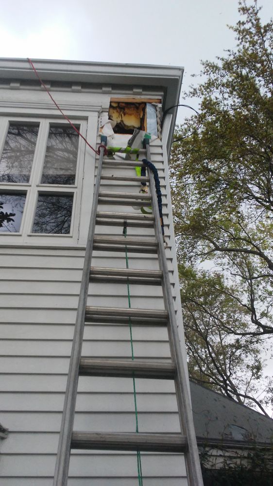 The Bee Wrangler - beekeeping in Alvin, TX