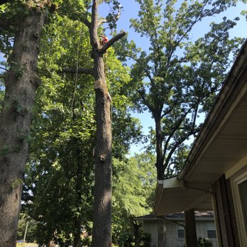 Don's Tree Service - Tree Services Near Me - Atlanta, Georgia