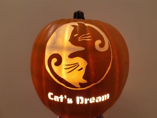 cat sitter north york