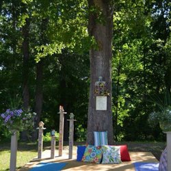 Embracing Nature - Embracing Nature surroundings