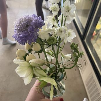 David’s Daughter - Florists Near Me - San Diego, California David’s Daughter - Florists Near Me - San Diego, California