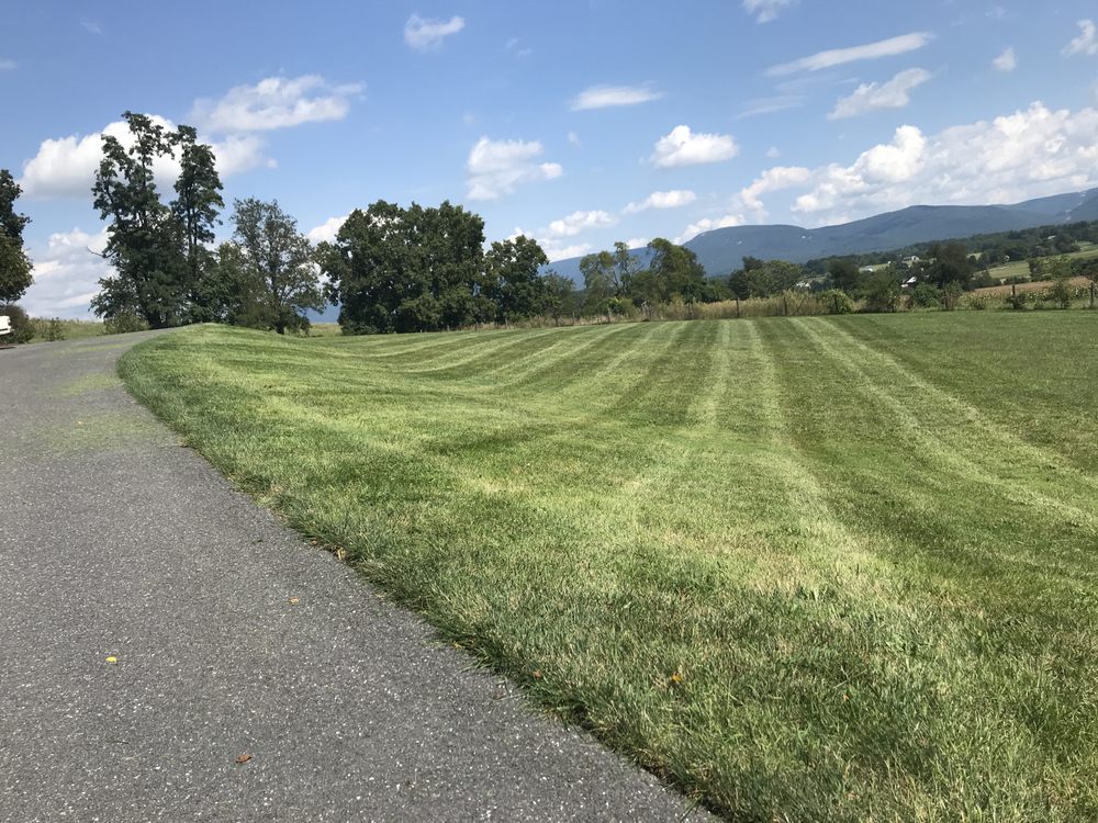 THE SHARPEST CUT LAWN CARE Updated August 2024 Waynesboro, Virginia