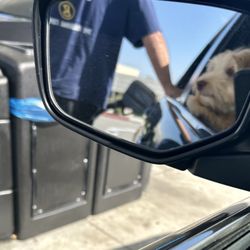 Watching Dad pump Gas