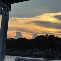 Captain Mark's Dolphin Cruise