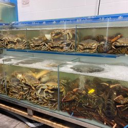 Yan Seafood Market - Dungeness crab