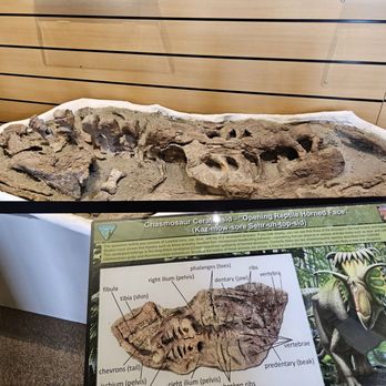 Escalante Interagency Visitor Center - Fossil exhibits - Visitor Centers Near Me - Escalante, Utah Escalante Interagency Visitor Center - Fossil exhibits - Visitor Centers Near Me - Escalante, Utah