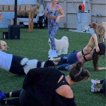 DOG PPL - Working out on international women's day at DOG PPL - Dog Parks Near Me - Santa Monica, California DOG PPL - Working out on international women's day at DOG PPL - Dog Parks Near Me - Santa Monica, California