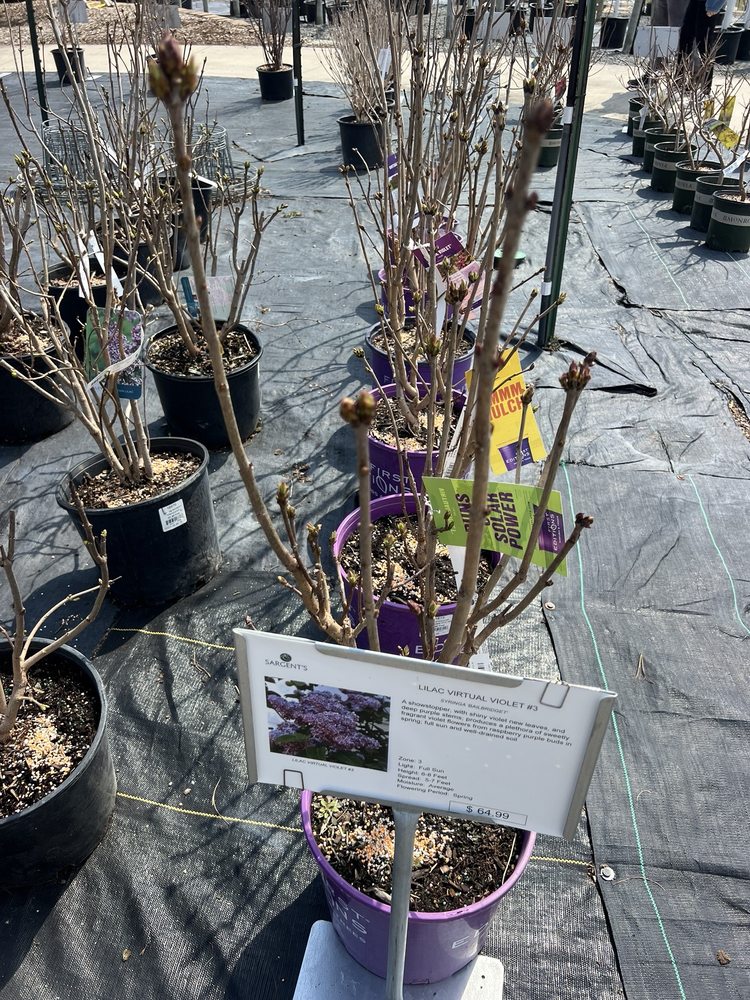 SARGENT’S LANDSCAPE & NURSERY - Updated March 2026 - 66 Photos & 11 ...