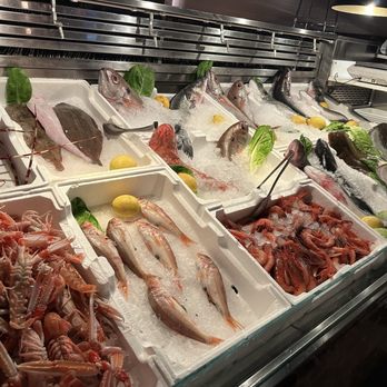 Pierluigi - Italian Near Me - Rome, RM Pierluigi - Italian Near Me - Rome, RM