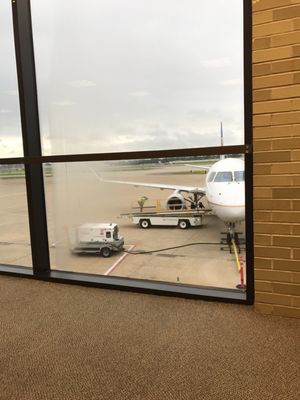 United Airlines by null