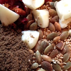 boldPUNGENT - Garlic and Spices