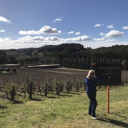Tapanappa Winery - Driving down to the cellar door