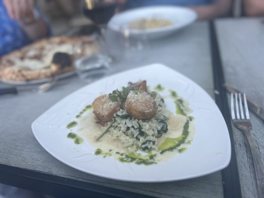 Bottega Italia by null