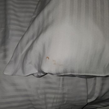 Golden Nugget Laughlin Hotel & Casino - Stain on the pillow. Disgusting! - Hotels Near Me - Laughlin, Nevada Golden Nugget Laughlin Hotel & Casino - Stain on the pillow. Disgusting! - Hotels Near Me - Laughlin, Nevada