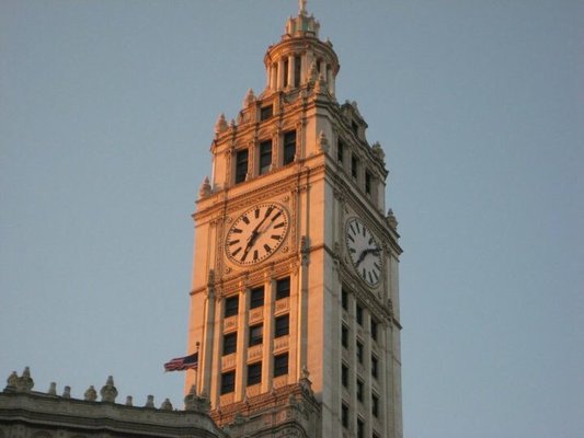 Chicago Tribune by null