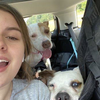 Pet Supplies Plus Homewood - Bath time for these two!! - Pet Stores Near Me - Homewood, Alabama