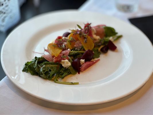 Bella Colibri by null