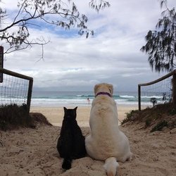Sitters by the Sea