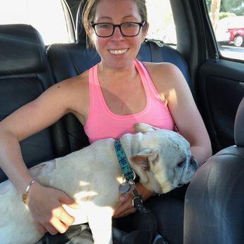 FACE Foundation - Right after surgery, a little medicated! - Pet Services Near Me - San Diego, California FACE Foundation - Right after surgery, a little medicated! - Pet Services Near Me - San Diego, California