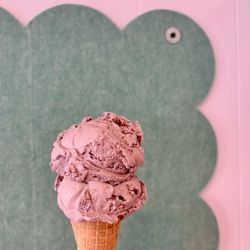 Village Scoop Ice Cream - Black raspberry Richardson's ice cream