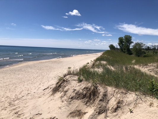 Kohler-Andrae State Park by null
