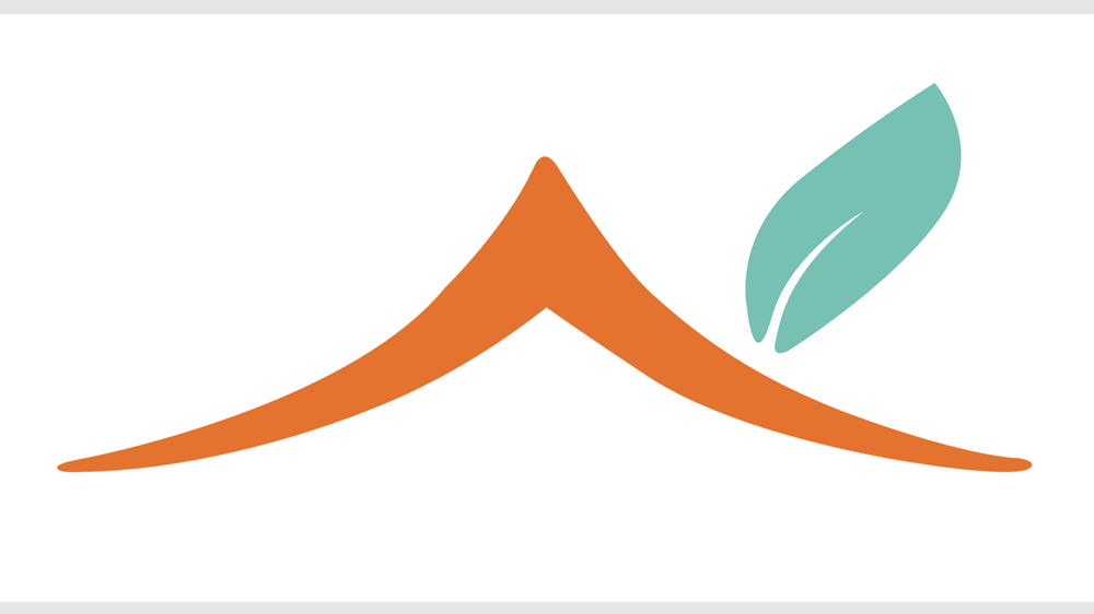 New Leaf Home Inspections - mold inspector in Clayton, NC